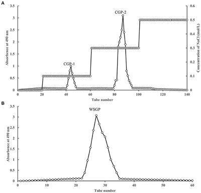 Anti-inflammatory effects and molecular mechanisms of bioactive small molecule garlic polysaccharide